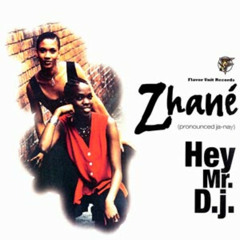 Give It 2 Me Mr. DJ (Slim Dee Mash) - Zhane vs. Jay Z