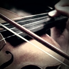 11 On Holiday By Mistake