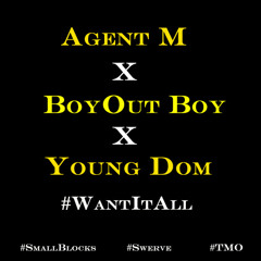 Agent M Presents Boyout Boy & Young Dom - Want it All