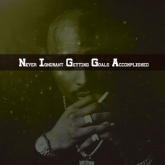 N.I.G.G.A. (Never Ignorant Getting Goals Accomplished )