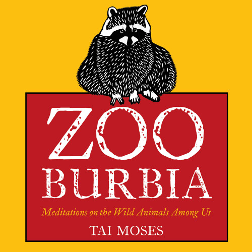 Zooburbia Meditations On The Wild Animals Among Us By Tai Moses Sample By Parallax Press