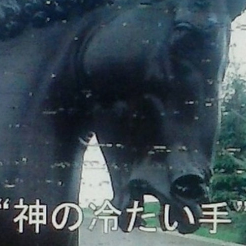 S.O.S. w/ smokedfilleddream