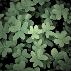 Xuan Ben Em -Hoang Hai.MP3