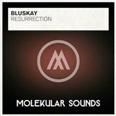 BluSkay - Resurrection (Molekular RNM)