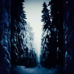 Dark Forrest