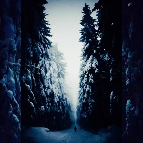 Dark Forrest
