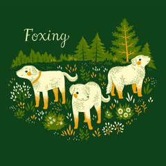 The Medic (Foxing Cover)