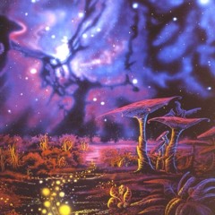 Amanita Muscaria Official Song