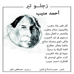 أحمد منيب - ميسرة صلاح الدين