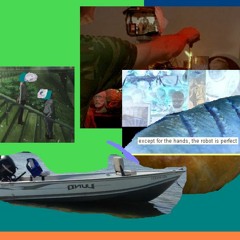 i do too (frankie cosmos)