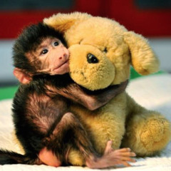 Foop (nevergonnafinishthis)