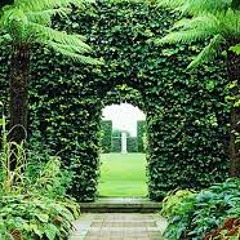 Tent Of Meeting Feb 10