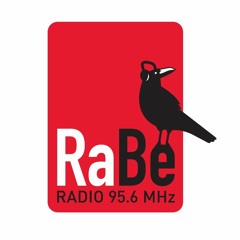 Death To Birth (Pagoda - Cover Live & Unplugged im Radieschen Auf Radio RaBe 95,6)