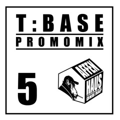 T:Base - Affenhaus Promomix #5