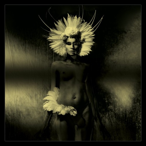 In My Mind (Ft. Gavin Clark)