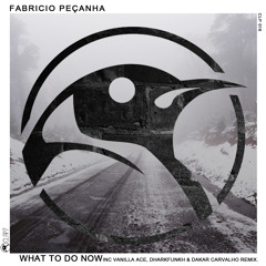FABRÍCIO PEÇANHA - What To Do Now (Original Mix) - Preview