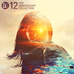 ROYGREEN, PROTONE & BEN SOUNDSCAPE - DUSK (ZERO T REMIX) (Intrigue12LP)
