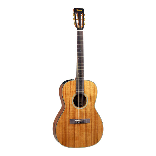 オールコア Takamine PTU409K オールコア Takamine PTU409K - メルカリ