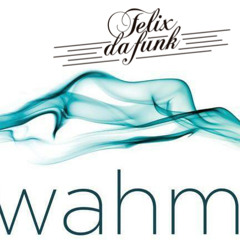 Felix Da Funk @ Wahm W Doha Hotel