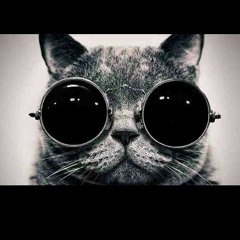 Noiseshaper - Sunstarson