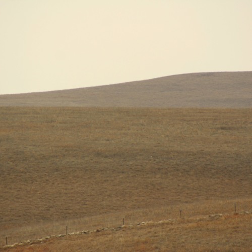 Bison Circles (Excerpt)