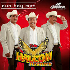 TRIO HALCON HUASTECO EL FANDANGUITO