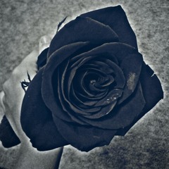 الأصوات من الثلاثاء مساء