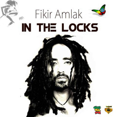 In The Locks - Fikir Amlak & UniRidd Project collab. King Tie Dub
