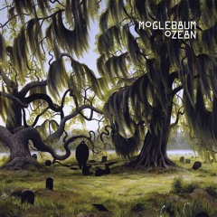 Premiere: Moglebaum - Ozean