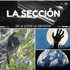 La Seccion Intro 2015