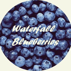 Waterfall Blueberries