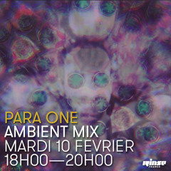 Para One Ambient Mix on Rinse FR - 10/02/15