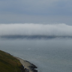 08 Basking in the Blue