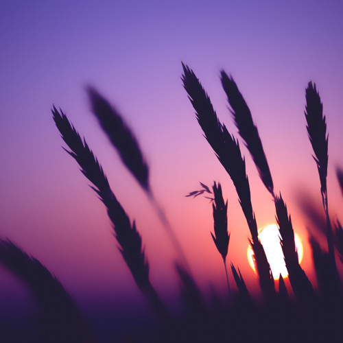 B-Combat - Leave The Time