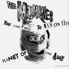 The Fly "The Mummies"  - By Los Horrísonos