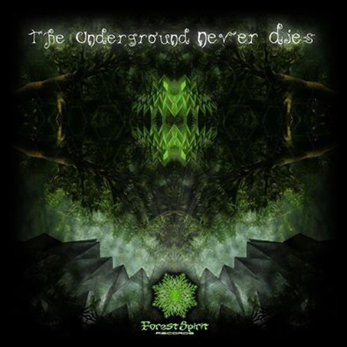Mother Ship on the Moon - Hanumann