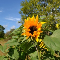 Life The Day You Died