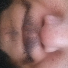 La Cucaracha at South Austin