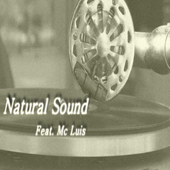 Natural Sound feat Mc Luis-En esta podrida sociedad