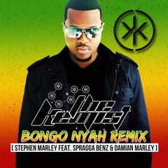 Stephen Marley feat Spragga Benz & Damian Marley - "Bongo Nyah" (The Kemist Remix)