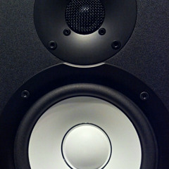 Warren G "Party We Will Throw Now" Rendition