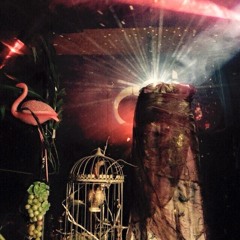 TECHNO&JANE - JANE -Kurhotel Hamburg 07/02/2015-