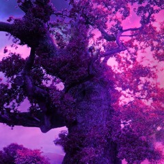 xXSQUSHXx - Agape (original mix-GOA)