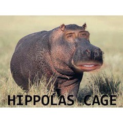 tom & jon - from up above