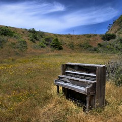 Kadum - Harmonic Fields PREVIEW