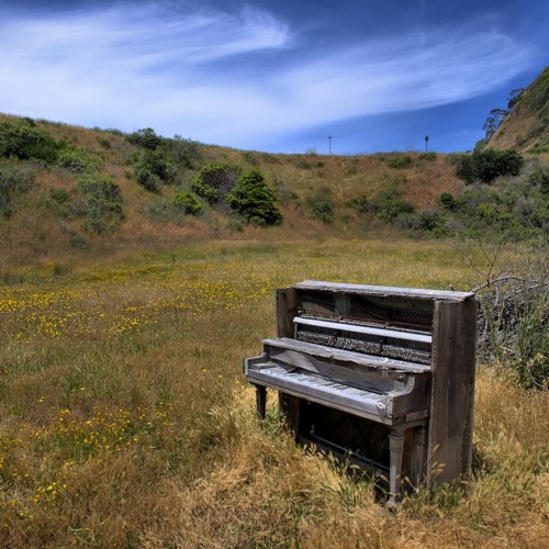 Kadum - Harmonic Fields PREVIEW