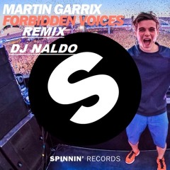 Martin Garrix - Forbidden Voices -Remix DJ NALDO-