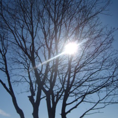 Winter Morgen (Original Mix)