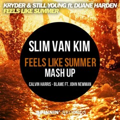 SlimKim-Kryder -Calvin Harries Blame It On -Mash Up Feels Like Summer