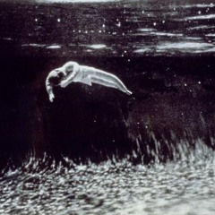 Danze Fantamas Dark Dance Deboshe